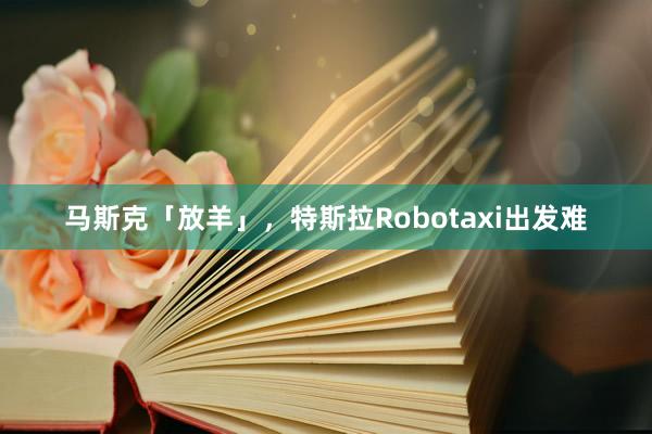 马斯克「放羊」，特斯拉Robotaxi出发难