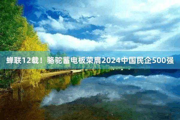 蝉联12载！骆驼蓄电板荣膺2024中国民企500强