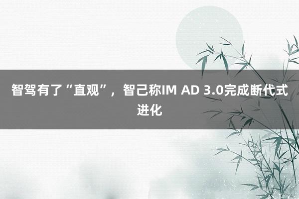 智驾有了“直观”，智己称IM AD 3.0完成断代式进化