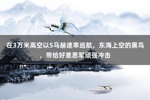 在3万米高空以5马赫速率巡航，东海上空的黑鸟，带给好意思军顽强冲击