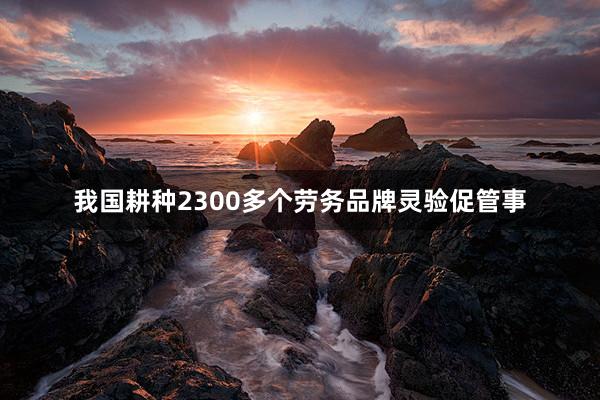 我国耕种2300多个劳务品牌灵验促管事